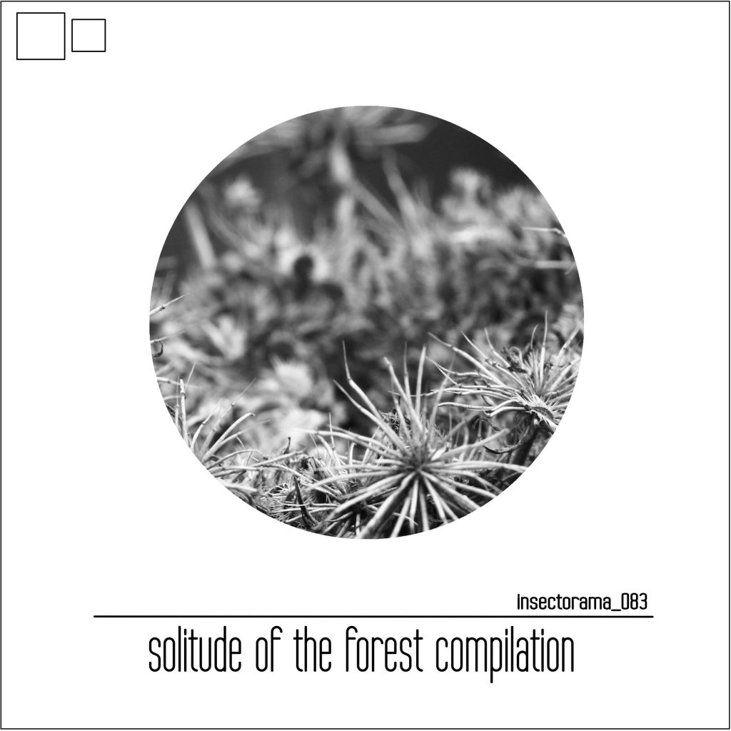 WTX4FAM On Solitute Of The Forest Compilation