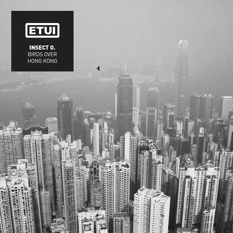 Artwork for Birds Over Hong Kong: back and white photo with a view over Hong Kong and a flying bird